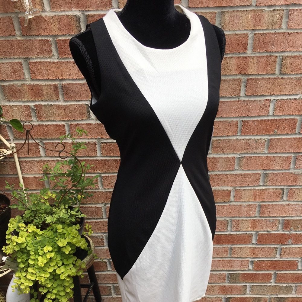 Sold! Charming Charlie Black & white midi dress